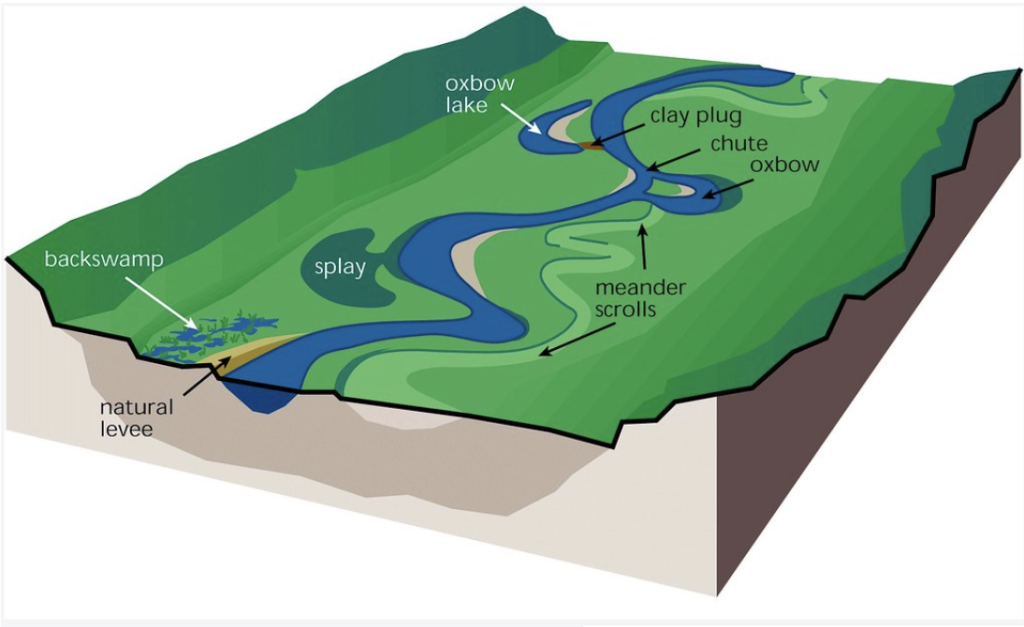 floodplain-restoration-nuwao